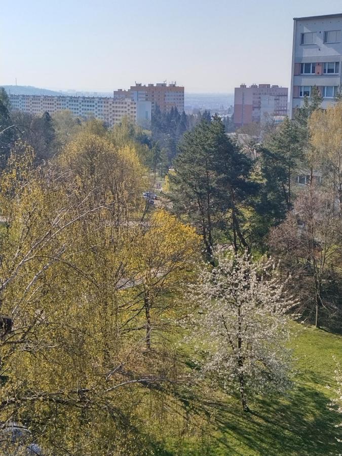 Flat Lesna Brno Apartment Exterior photo